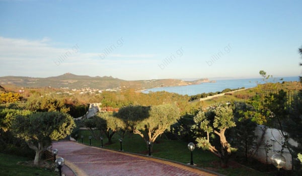 Εξωτερική όψη - Outdoor view